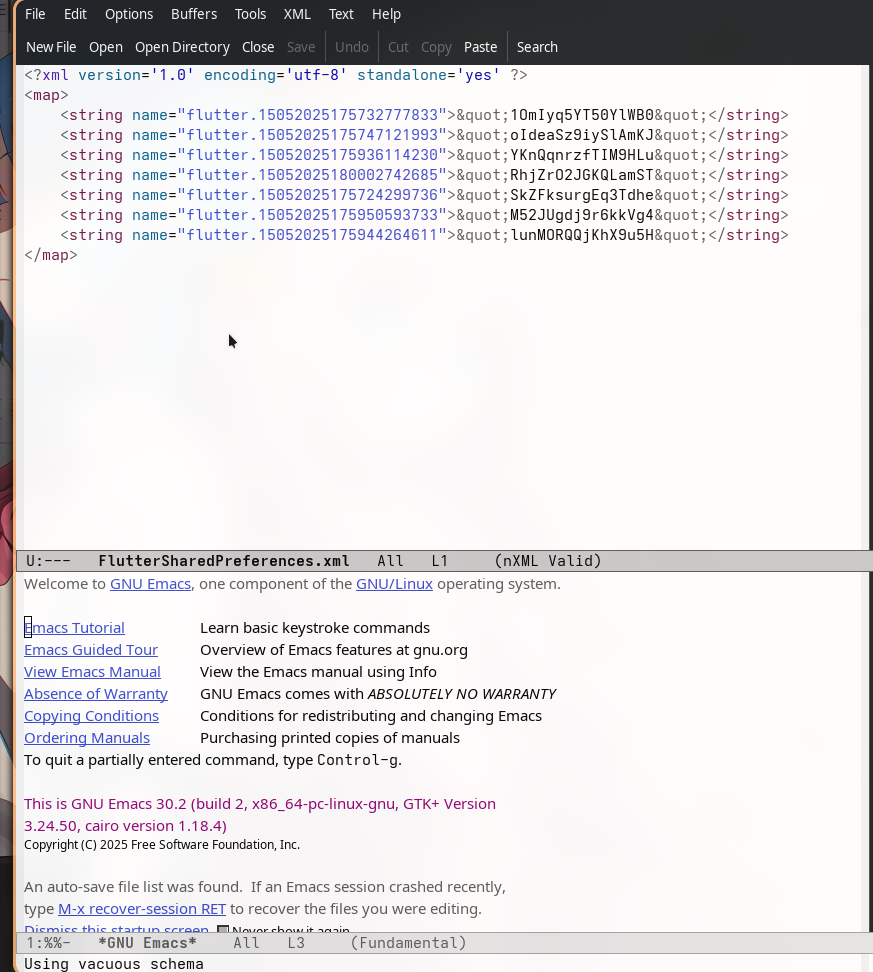 Flutter App Evidence 2