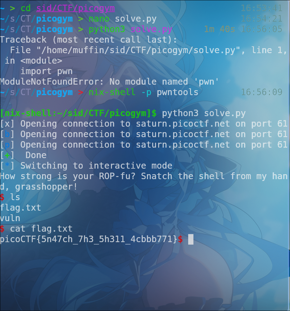 Successful exploitation